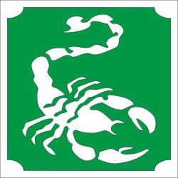  Csillámtetoválás sablon 5x5 cm-es - Skorpió 461