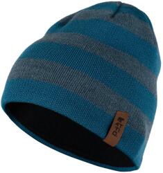 ATTIQ POLARTEC WINTER EXPEDITION Uniszex téli sapka - Sötétkék