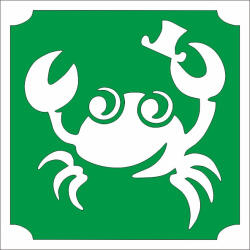  5x5 cm-es Csillámtetoválás sablon - Rák 342