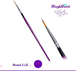 BLAZIN kerek kontúr arcfestő ecset Round 2