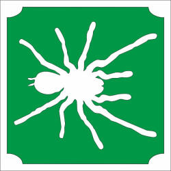  5x5 cm-es Csillámtetoválás sablon - Madárpók 139