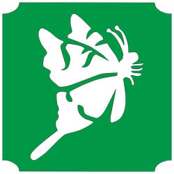 5x5 cm-es Csillámtetoválás sablon - Lepke 69