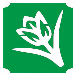  5x5 cm-es Csillám tetoválás sablon - Tulipán 10
