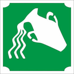 Csillámtetoválás sablon - Vízöntő 486