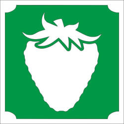 5x5 cm-es Csillámtetoválás sablon - Eper 164