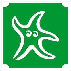  5x5 cm-es Csillám tetoválás sablon - Tengeri csillag 360
