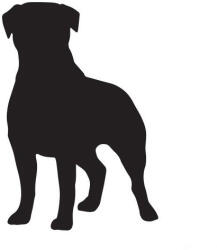  Rottweiler matrica 11