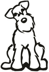  Schnauzer autómatrica