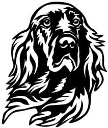  Ír szetter matrica 4