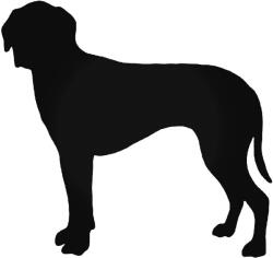  Hamilton kutya matrica