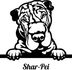  Shar pei matrica 17