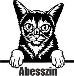  Abesszin macska matrica