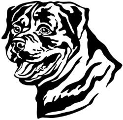  Rottweiler matrica 16