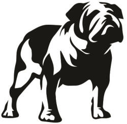  Bulldog matrica 6