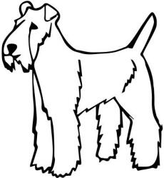  Foxterrier matrica 6