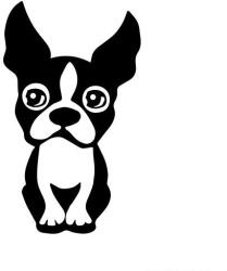  Boston terrier matrica 9