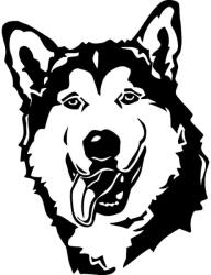  Alaszkai malamut matrica 2