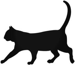  Sétáló macska matrica