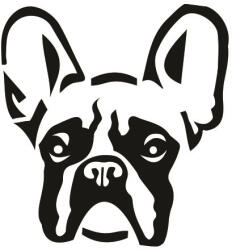  Francia bulldog matrica 15