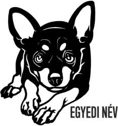  Egyedi neves Pincser matrica