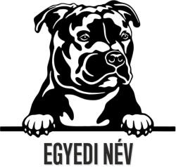  Egyedi neves Pitbull matrica