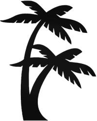  Pálmák Autómatrica