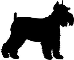  Schnauzer matrica 15