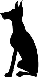  Dobermann matrica 15