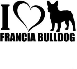  Francia bulldog matrica 16