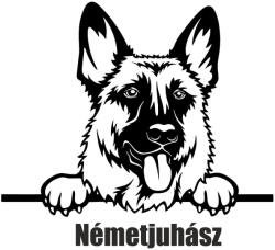  Németjuhász matrica 20