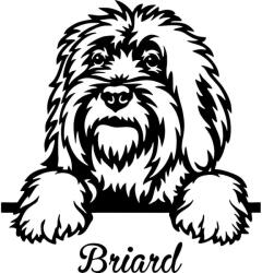  Briard matrica 1
