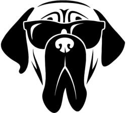  Angol masztiff matrica 4