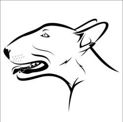  Bullterrier matrica 10