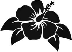  Leveles Orchidea Autómatrica