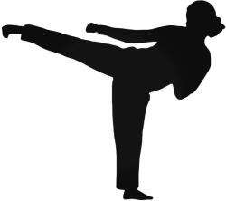  Karate lány matrica