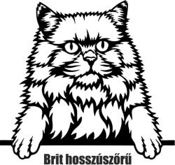 Brit hosszúszőrű macska matrica