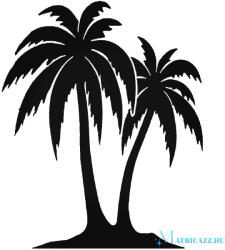 Kis sziget Autómatrica