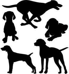  Vizslás matrica szett