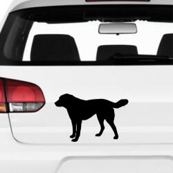  Akbash Kutya matrica