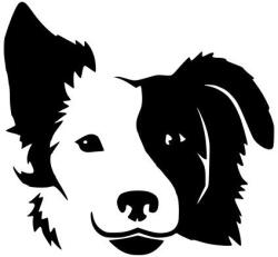  Border collie matrica 1