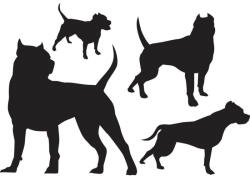  Amstaff matrica szett