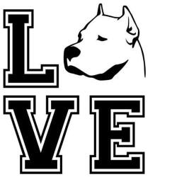  Argentin dog matrica 5