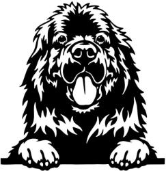  Újfundlandi matrica 4