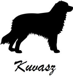  Kuvasz matrica 0