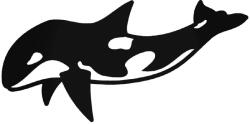  Kardszárnyú delfin "1" matrica