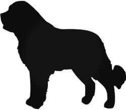  Saint Bernard Kutya matrica