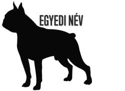  Egyedi neves Boston terrier matrica