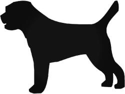  Border Terrier Kutya matrica