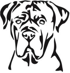  Cane corso matrica 0