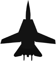  F-14 Tomcat Autómatrica